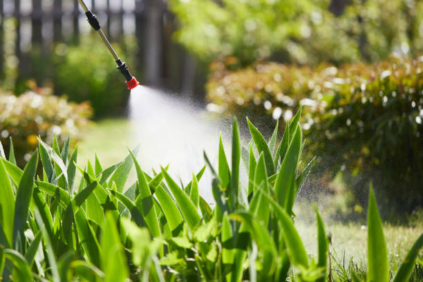 24/7 Emergency Wasp Removal experts in South Whittier, CA